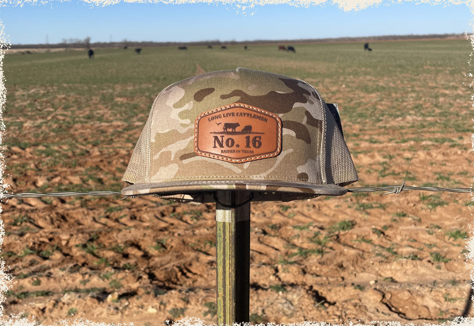 cap-2.jpg__PID:82b7504c-ad57-4ef9-bde9-8dbd9c030e0c