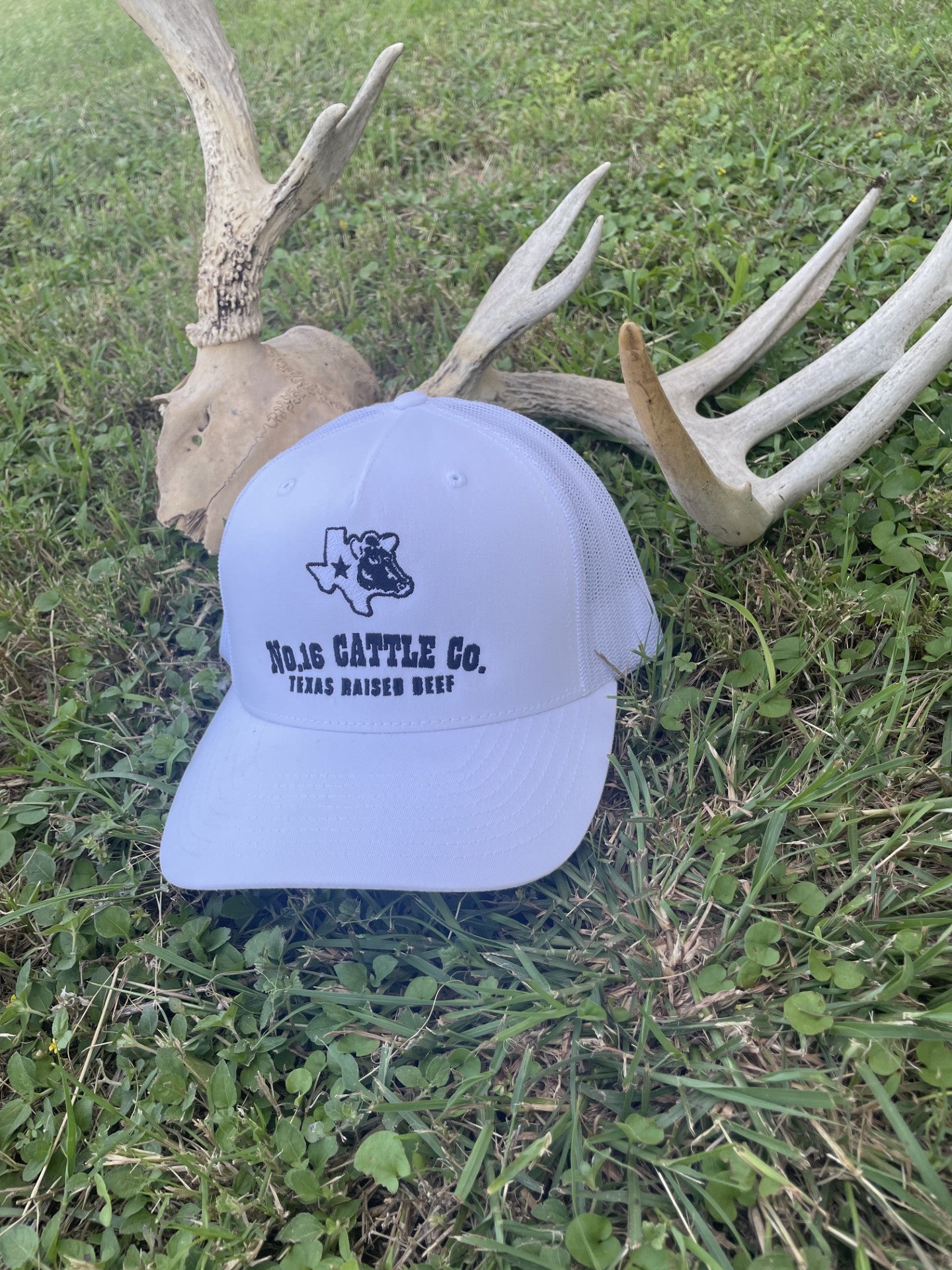 "Texas Raised Beef" Trucker